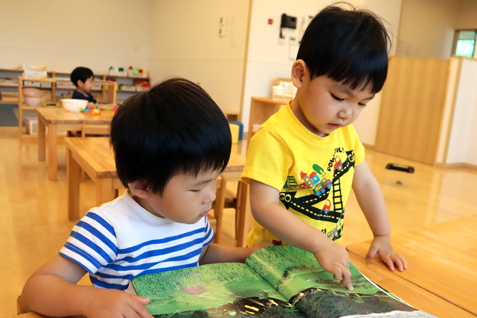 2�Ύ����